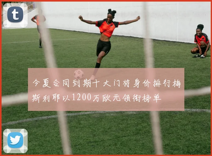今夏合同到期十大门将身价排行梅斯利耶以1200万欧元领衔榜单