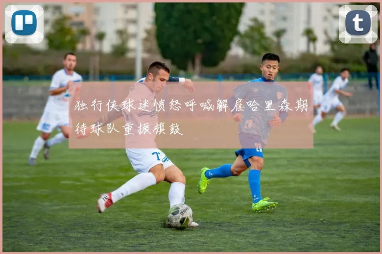 独行侠球迷愤怒呼喊解雇哈里森期待球队重振旗鼓